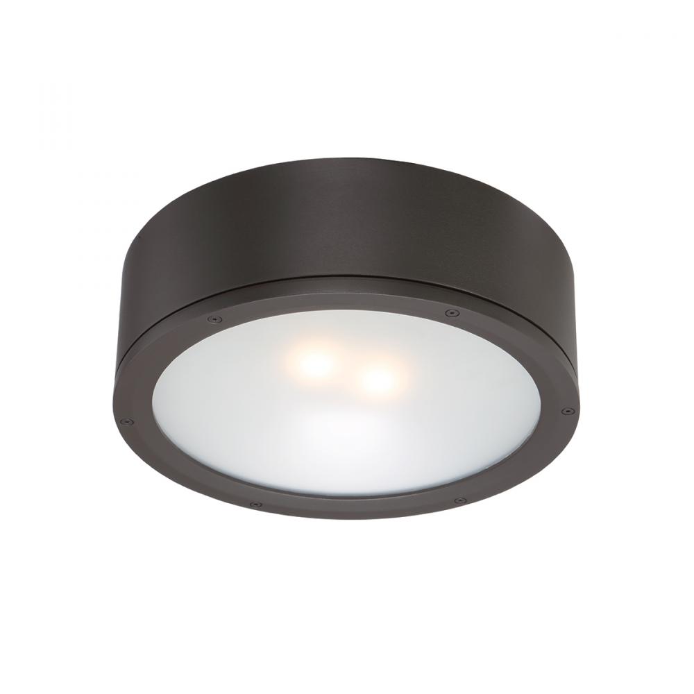 TUBE Outdoor Flush Mount Light