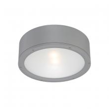 WAC US FM-W2612-GH - TUBE Outdoor Flush Mount Light