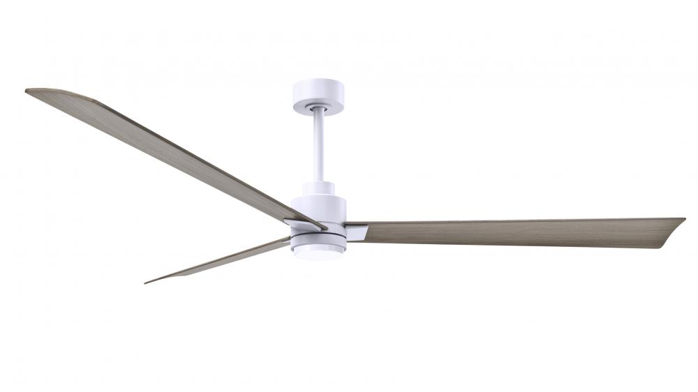 Alessandra 3-blade transitional ceiling fan in matte white finish with gray ash blades. Optimized