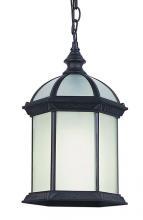 Trans Globe 4183 BK - Wentworth 1-Light Atrium Style Outdoor Hanging Pendant