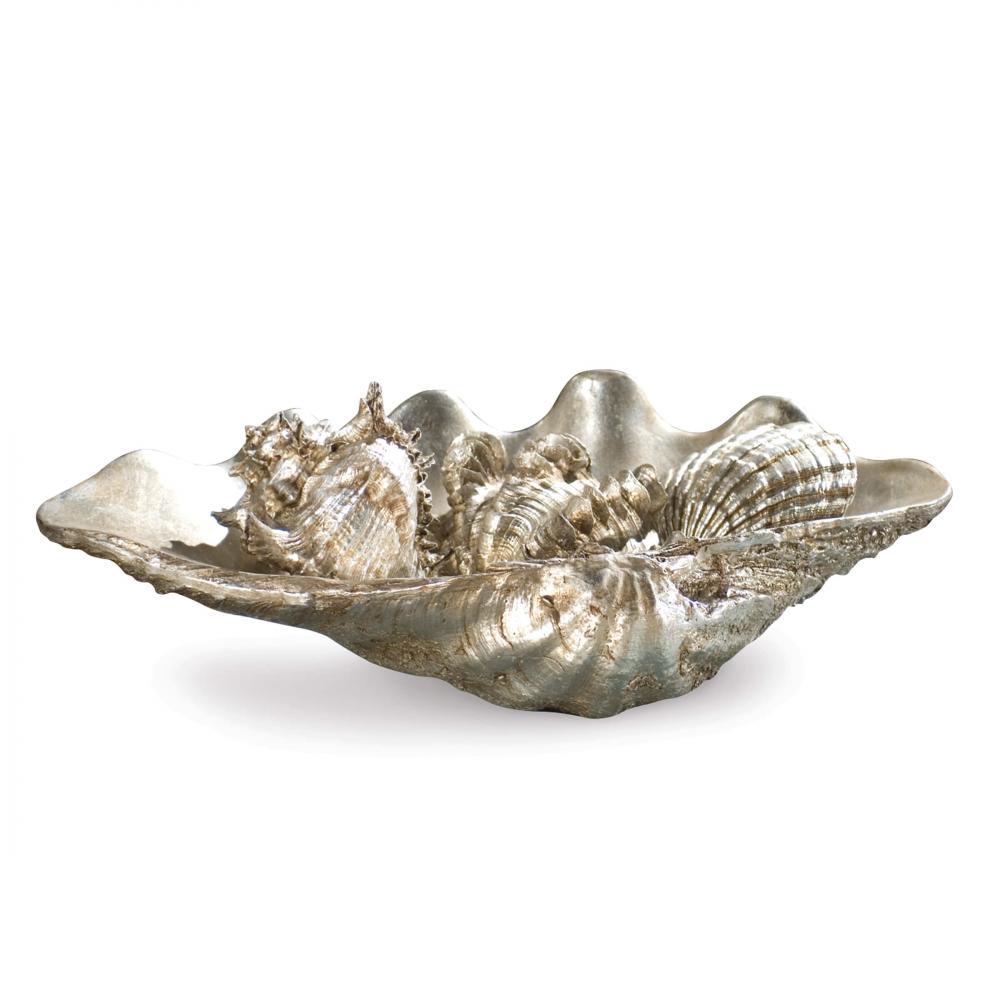 Regina Andrew Clam Shell Medium W/Small Shells (