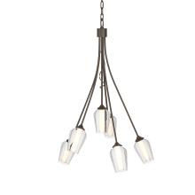 Hubbardton Forge 103043-SKT-05-ZS0354 - Flora 6 Arm Chandelier