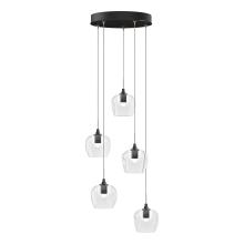 Hubbardton Forge 131123-SKT-STND-89-ZM0709 - Ume 5-Light Pendant