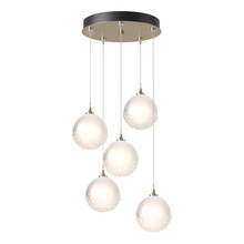 Hubbardton Forge 131131-SKT-LONG-86-FD0750 - Fritz Globe 5-Light Pendant