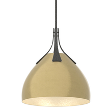 Hubbardton Forge 134502-SKT-MULT-20-86 - Summit Pendant