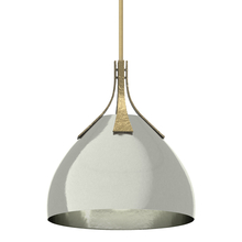 Hubbardton Forge 134502-SKT-MULT-86-85 - Summit Pendant