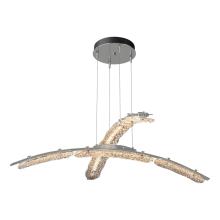 Hubbardton Forge 137587-LED-STND-85-ZM0749 - Glissade Double Large LED Pendant