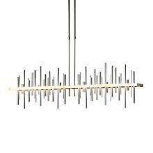 Hubbardton Forge 139726-LED-STND-86-82 - Cityscape Large LED Pendant