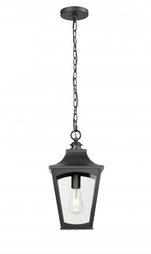 Curry 1-Light Outdoor Hanging Lantern Powder Coated Black